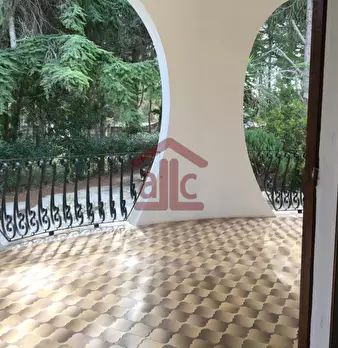 Foto annuncio 50