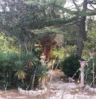 Foto annuncio 53