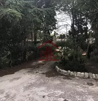 Foto annuncio 57