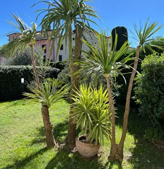 Foto annuncio 11