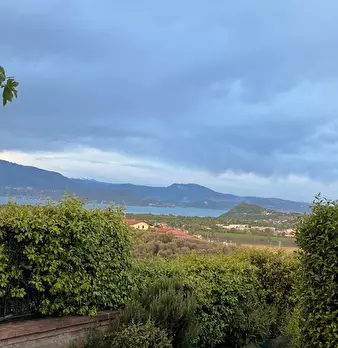 Foto annuncio 31