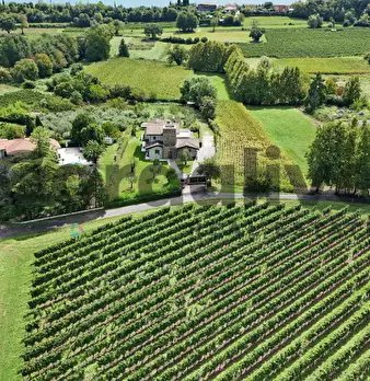 Foto annuncio 32