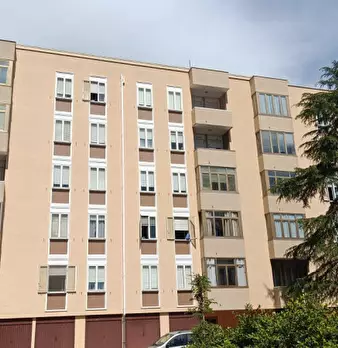 Foto annuncio 31