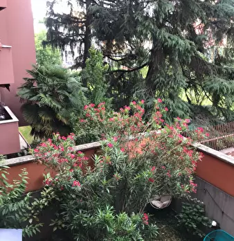 Foto annuncio 4