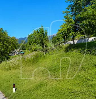 Foto annuncio 4