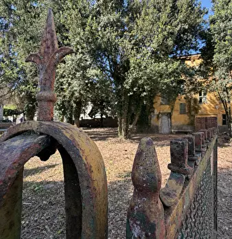 Foto annuncio 3