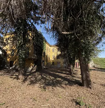 Foto annuncio 9