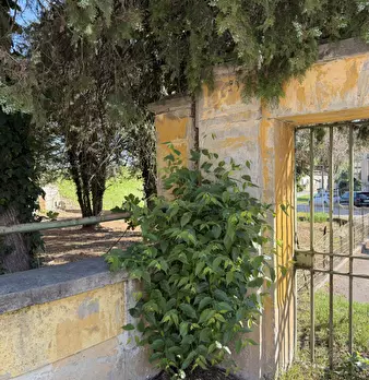 Foto annuncio 21