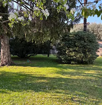 Foto annuncio 7