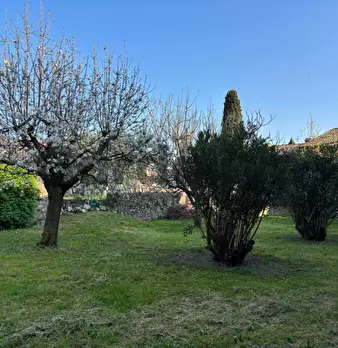 Foto annuncio 10
