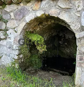 Foto annuncio 11