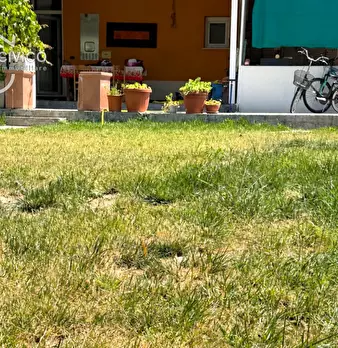 Foto annuncio 18