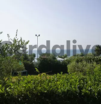 Foto annuncio 29