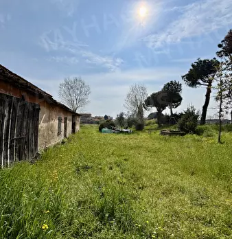 Foto annuncio 3
