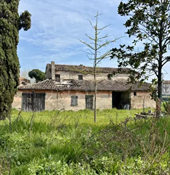 Foto annuncio 5