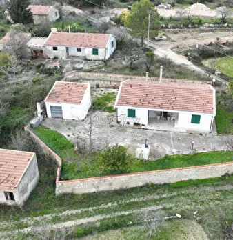 Foto annuncio 4