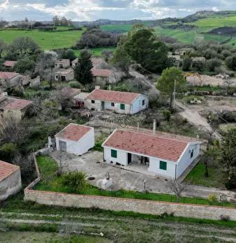 Foto annuncio 43