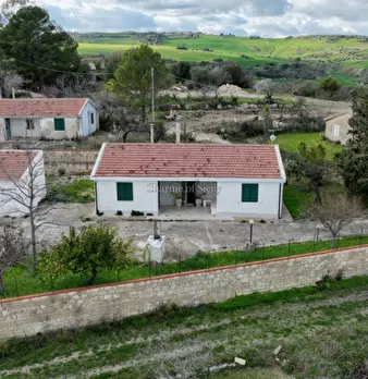 Foto annuncio 44