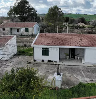 Foto annuncio 45