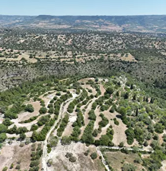 Foto annuncio 11