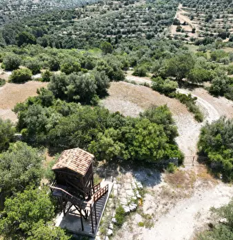Foto annuncio 14