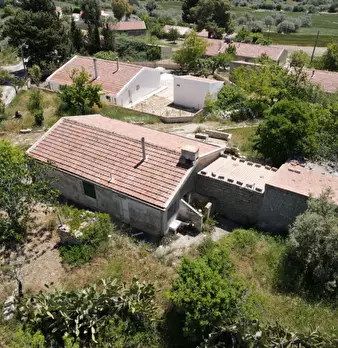 Foto annuncio 3