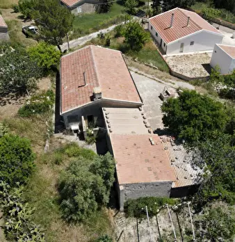 Foto annuncio 15