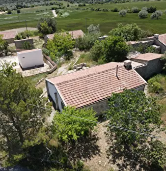 Foto annuncio 17