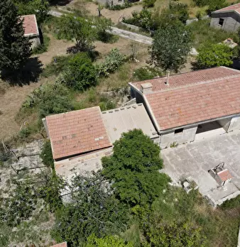 Foto annuncio 19