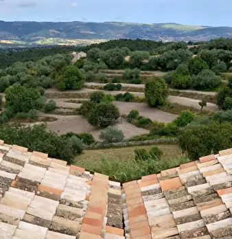 Foto annuncio 10
