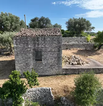 Foto annuncio 4