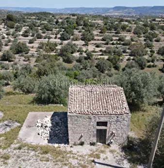 Foto annuncio 8