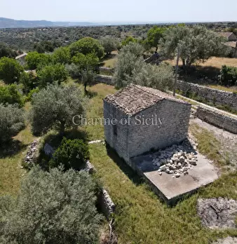 Foto annuncio 12