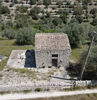 Foto annuncio 17