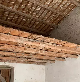Foto annuncio 26