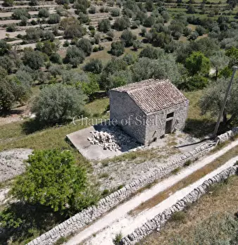 Foto annuncio 30