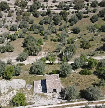 Foto annuncio 37