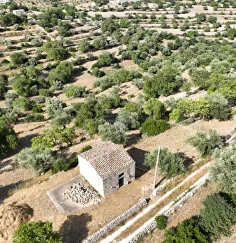 Foto annuncio 37