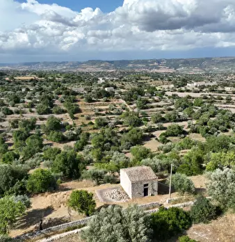 Foto annuncio 38