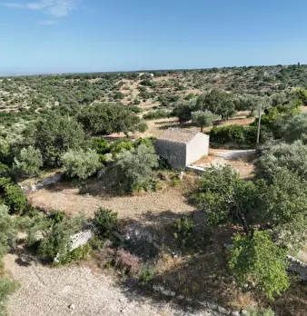 Foto annuncio 39