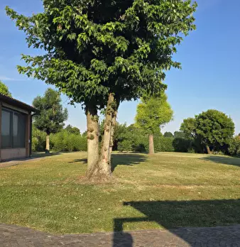 Foto annuncio 49