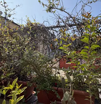 Foto annuncio 26