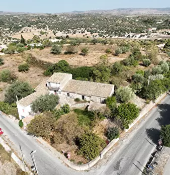 Foto annuncio 9