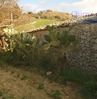 Foto annuncio 15