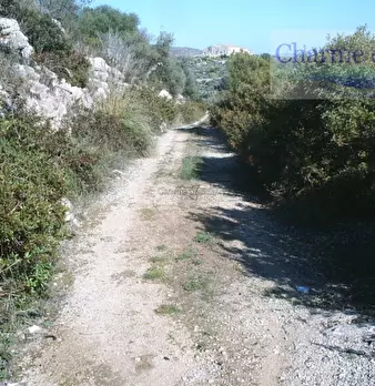 Foto annuncio 7