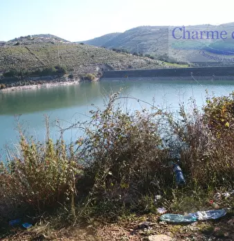 Foto annuncio 10