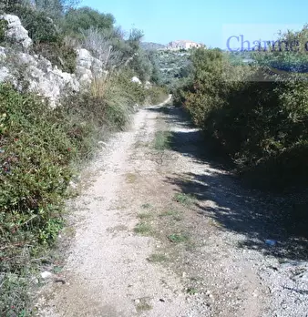 Foto annuncio 11