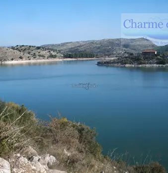Foto annuncio 12