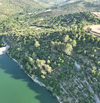 Foto annuncio 16