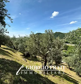 Foto annuncio 3